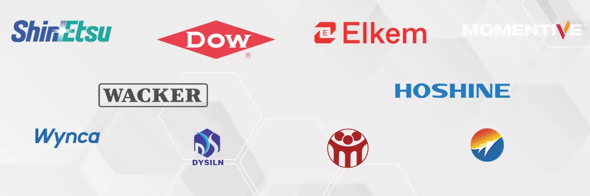 silicone raw material partners