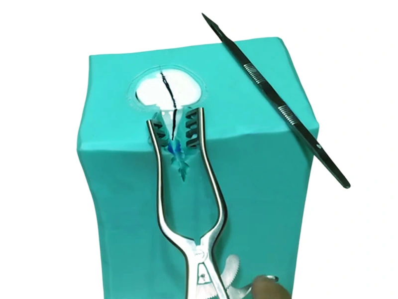 Guía para el Corte Adecuado de Moldes de Silicona