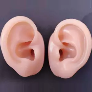 silicone ear